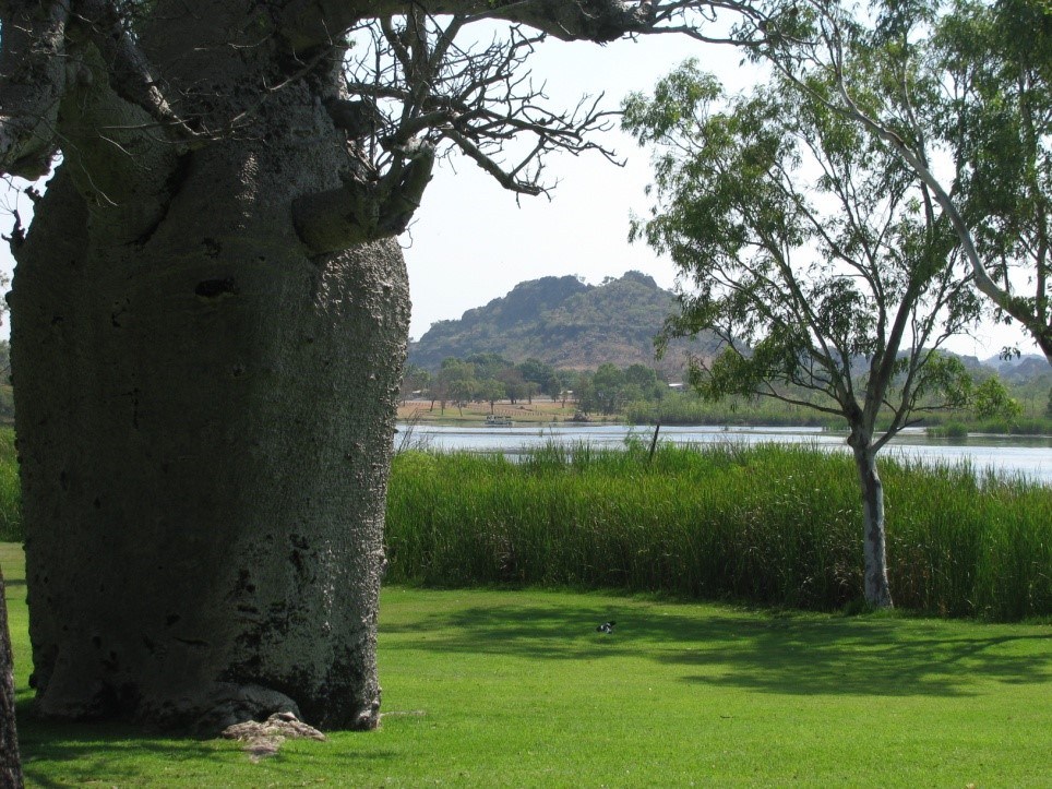 things to do in kununurra