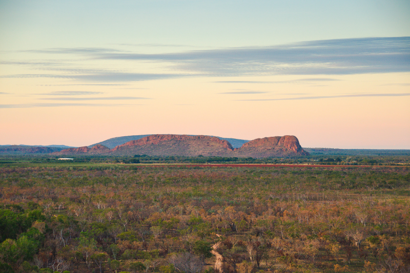 things to do in kununurra