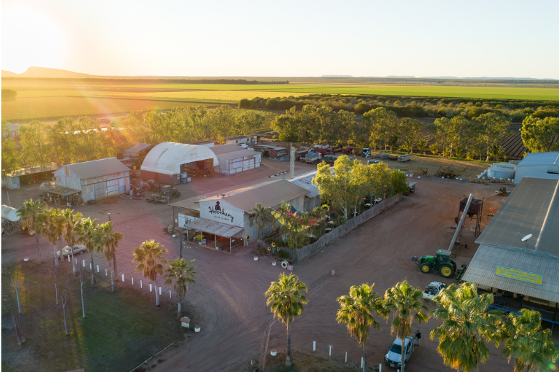 things to do in kununurra