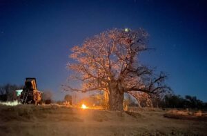 Camping Guide To Kununurra Kimberley Croc Motel